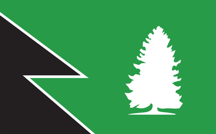 Endor flag