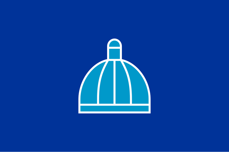 Flag of Durban