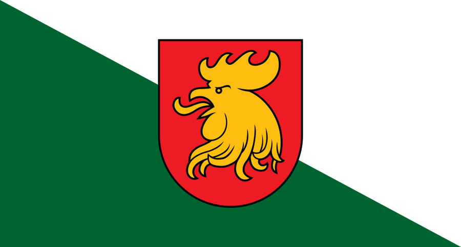 Flag of Madona District, Latvia