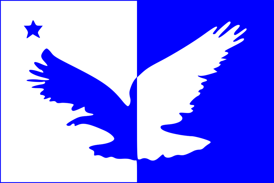 Flag of Taguatinga