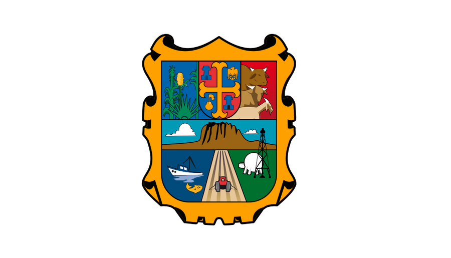 Flag of Tamaulipas