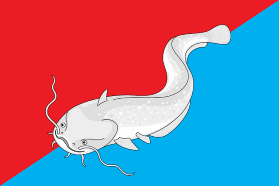 Flag of Somovskoe