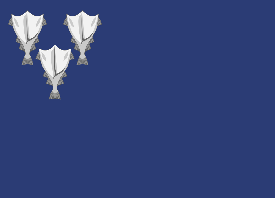 Flag of Jørgen Jørgensent