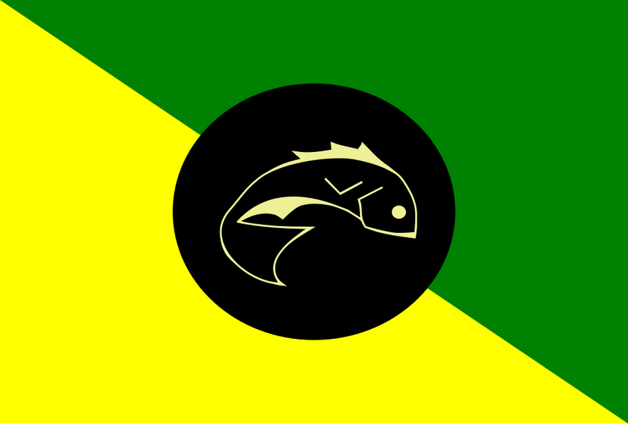 Flag of Calçoene, Amapá, Brazil