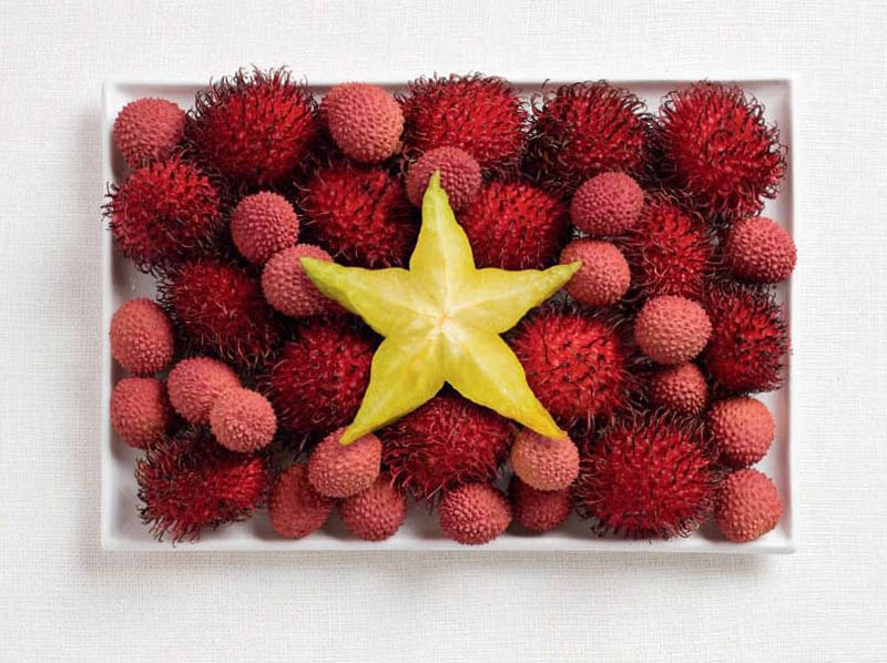 Vietnam Food Flag