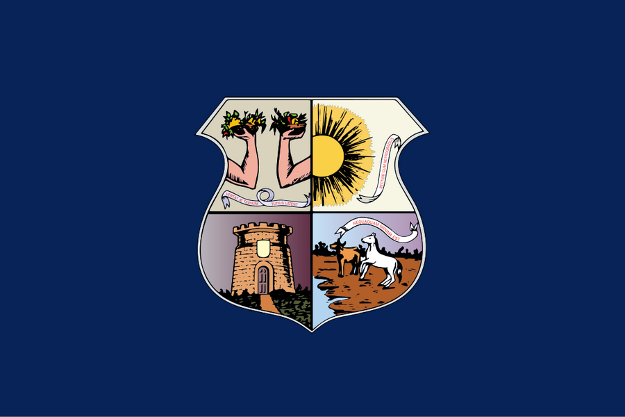 Flag Of Belém