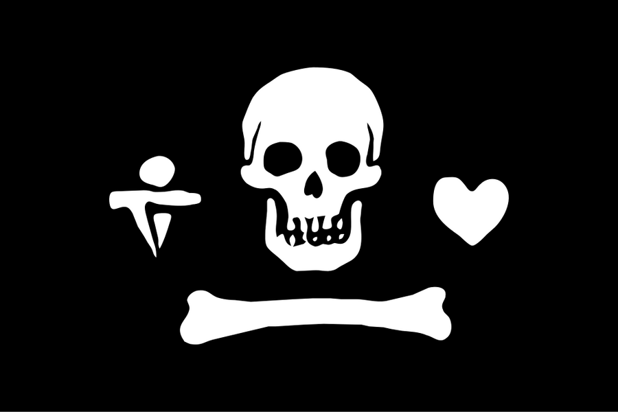 The Flag of Stede Bonnet