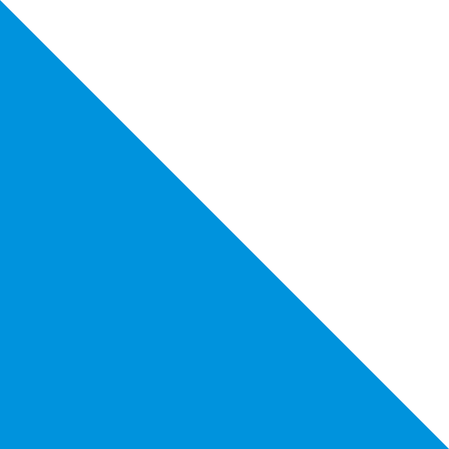 Flag of Zurich