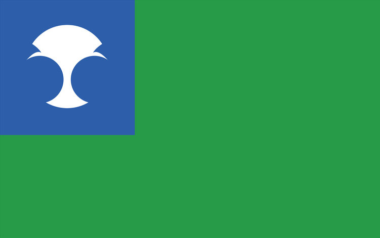 Alderaan flag