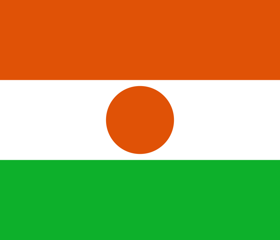 Niger Flag